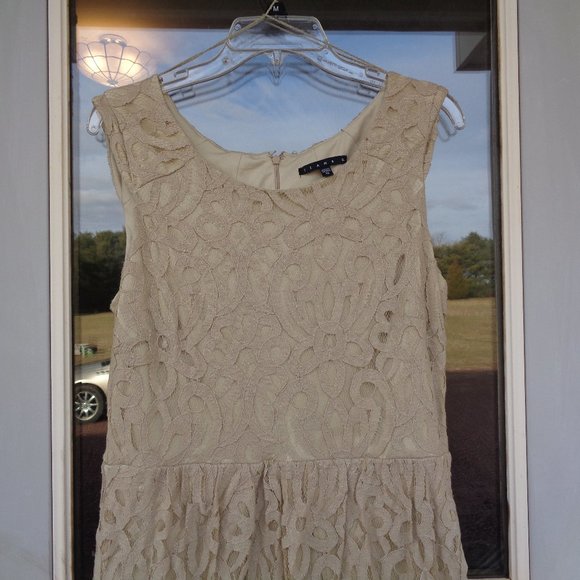 Tianna B sleeveless Lace dress w shimmer & pockets 10 - Picture 4 of 11